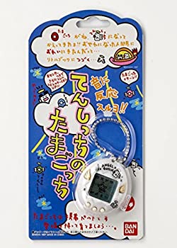 【中古】携帯ゲーム てんしっちのたまごっち 【カラー:パールホワイト】|スカイマーケットプラス