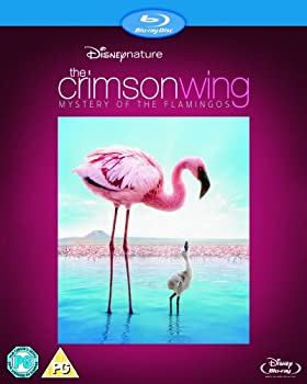 【中古】(未使用･未開封品)Crimson Wing [Blu-ray] [Import]｜スカイマーケットプラス