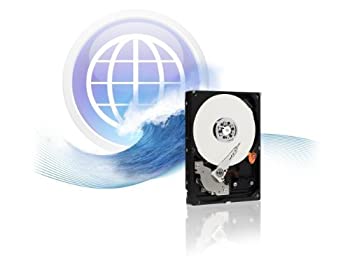 【中古】WESTERNDIGITAL WD5000AAKX|スカイマーケットプラス