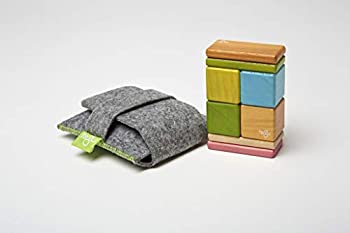【中古】(未当て嵌める･未開封品)8天下太平Tegu衣嚢合切袋磁気木製立ちはだかる仕掛ける 8-blocks A-10-012-SJG