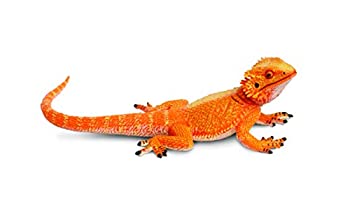【中古】(未使用・未開封品)Safari Incredible Creatures ( インクレディブル クリーチャーズ ) フトアゴヒゲトカゲ 263129