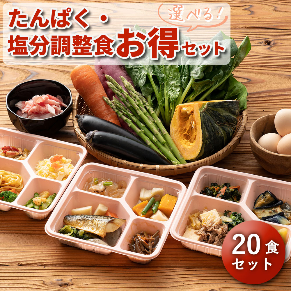 選べる たんぱく・塩分調整食20食セット 20食分 20食 冷凍弁当 冷凍 宅配弁当 減塩 低たんぱく 食品 弁当 惣菜 おかず おかずのみ 詰め合わせ セット 介護食 栄養食 時短調理 時短 簡単 おすすめ 自宅療養 健康直球便 手軽 調整食 食事療法食 国内製造 朝食 昼食 夕食