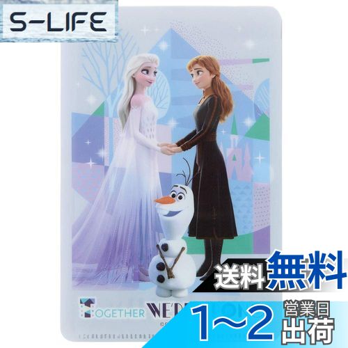 【送料無料】スケーター (skater)マスクケース 小さめサイズ用 小物 カード ポケットティッシュ 収納 アナと雪の女王 2 ディズニー MKC2画像