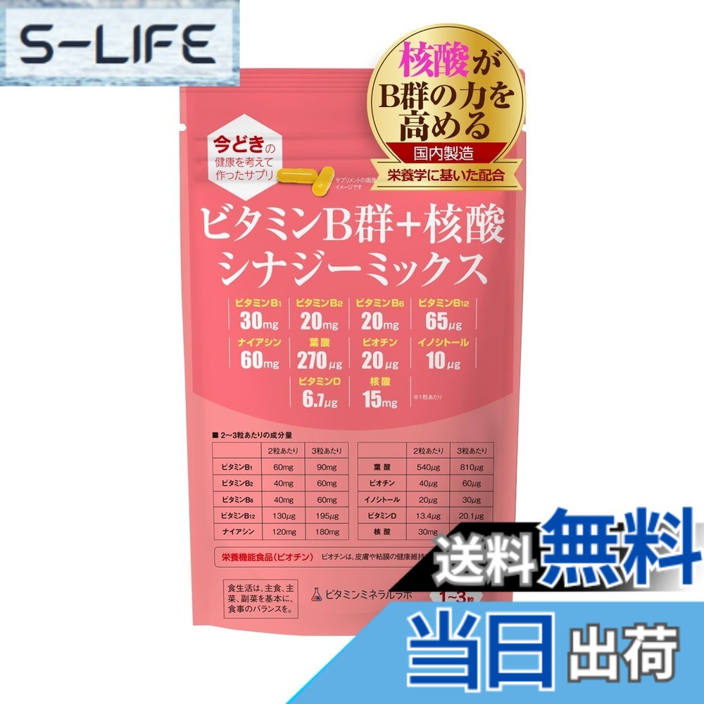 【送料無料】ビタミンB群+核酸 シナジーミックス サイズ：1袋