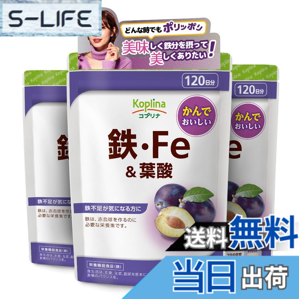 【送料無料】鉄・Fe＆葉酸 240粒 3袋セット360日分【タブレット/チュアブル/貯蔵鉄/鉄分/プルーン風味/おいしい/健康/サプリ/サプリメント/栄養補助食品/安心国内製造/コプリナ】
