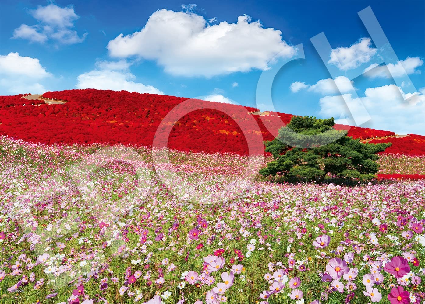 楽天市場】【送料無料】エポック社 500ピース ジグソーパズル 日本風景