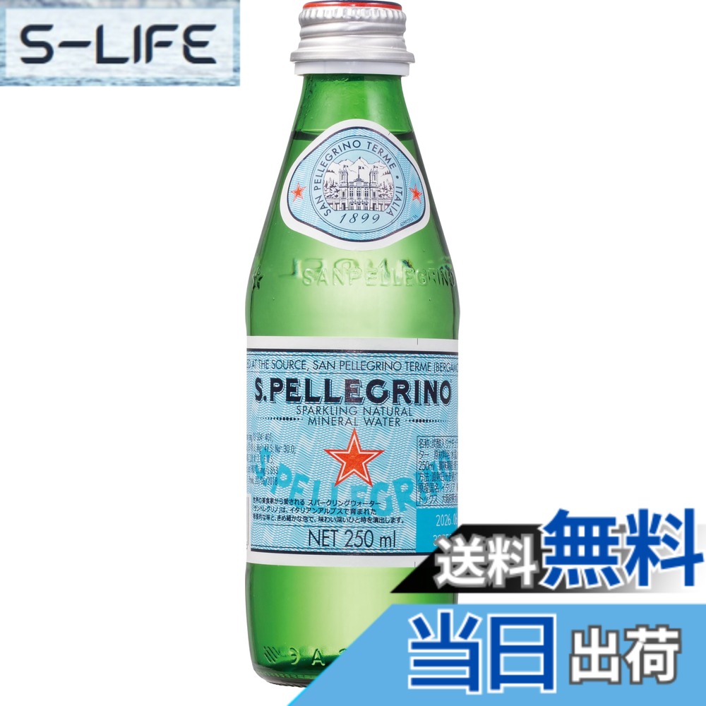 【貨物輸送無料】S.Pellegrino(サンペレグリノ) 炭酸水 瓶 250mlx24本 (イタリア共和国産 炭酸入り口・入口ナチュラルミネラルウォーター ねじ釘旗がしら)