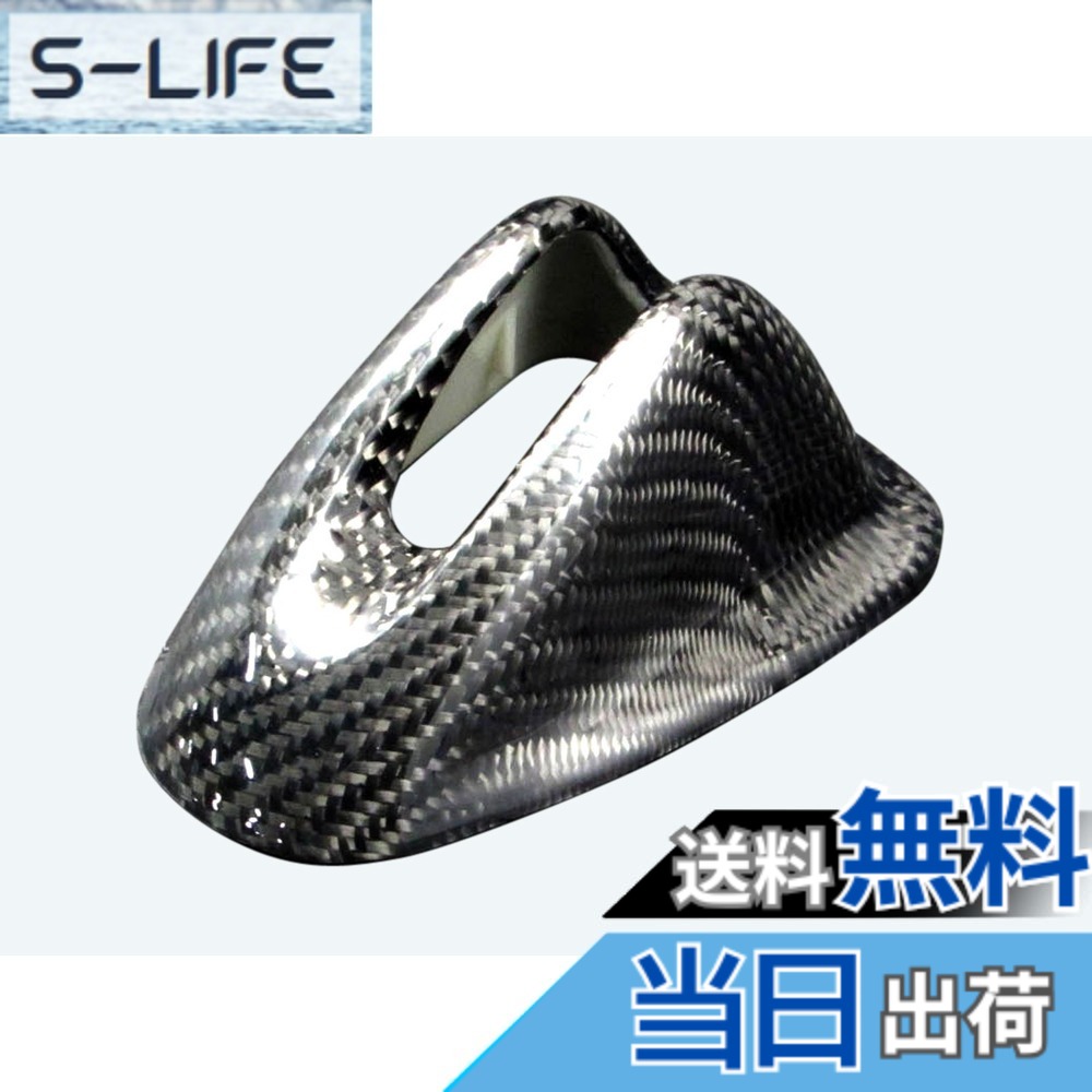 【送料無料】BRIGHTZ デイズ B21W リアルカーボンアンテナカバー 【 ANTENNA-044 】 B21 21 31456
