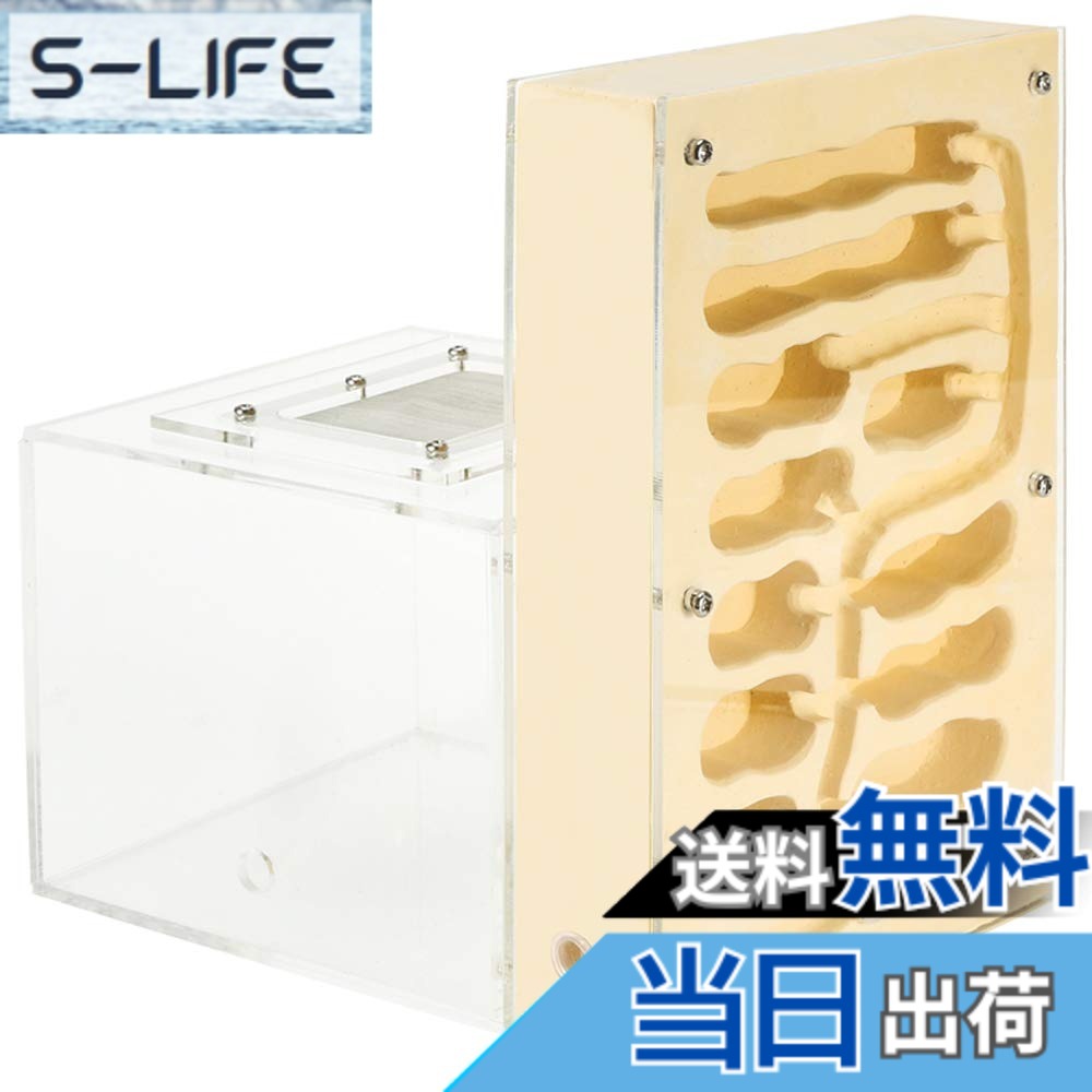 【送料無料】EnergyPower アリ飼育キット 石膏製巣箱 大型 アリ活動スペース付き 土やゲルを使用しないので腐らず清潔 お子様でも安心の観察キット 最初から巣穴ができあがっているので数の多いコロニーでもすぐに生活可能 保湿性が高く湿度管理がしやすい石膏巣の蟻専用|S-LIFE