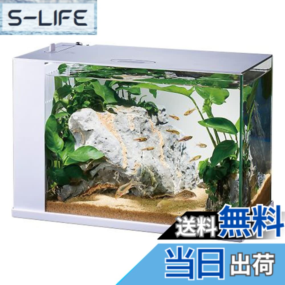 【貨物輸送無料】GEX AQUARIUM ラクテリア 水取り替えっこ飾り気の無い海洋博物館 水漉し・LED付き添い人 W34xD17.5xH24珊白いこと