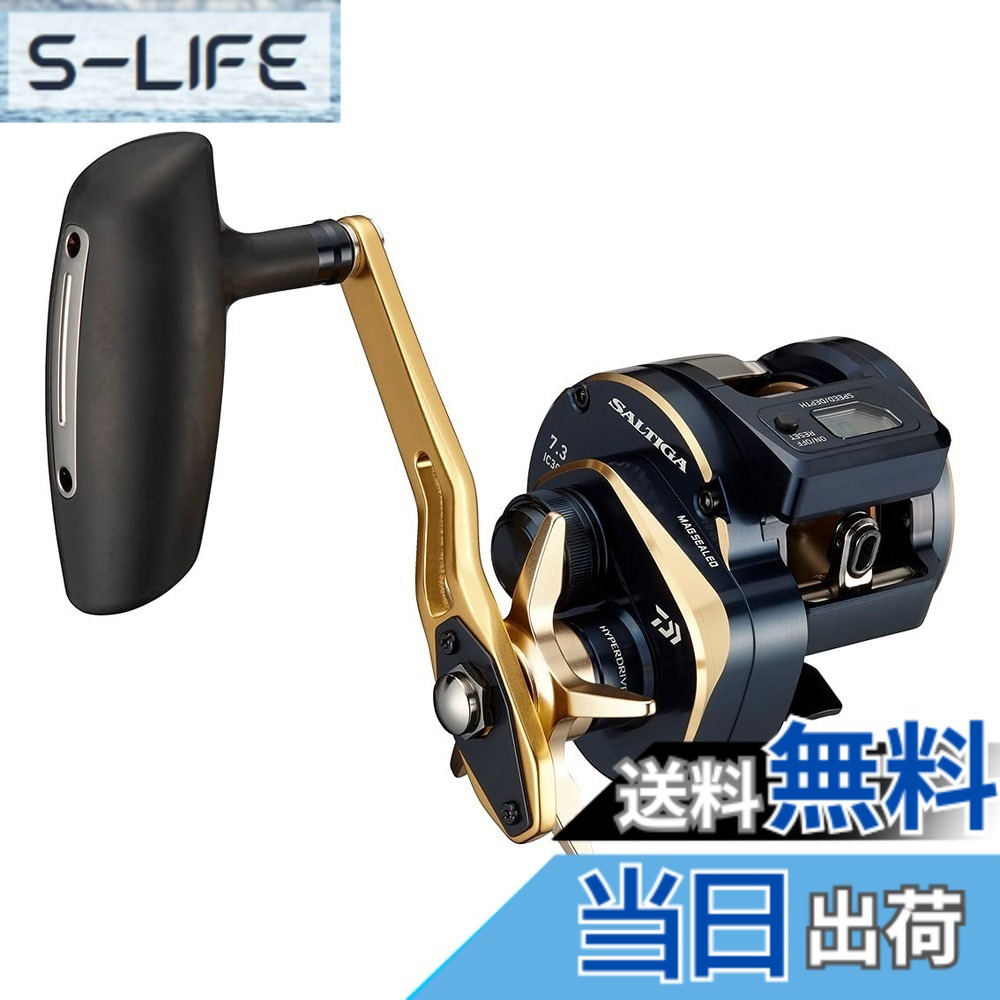 【送料無料】ダイワ(DAIWA) 21 ソルティガIC 300H-SJ