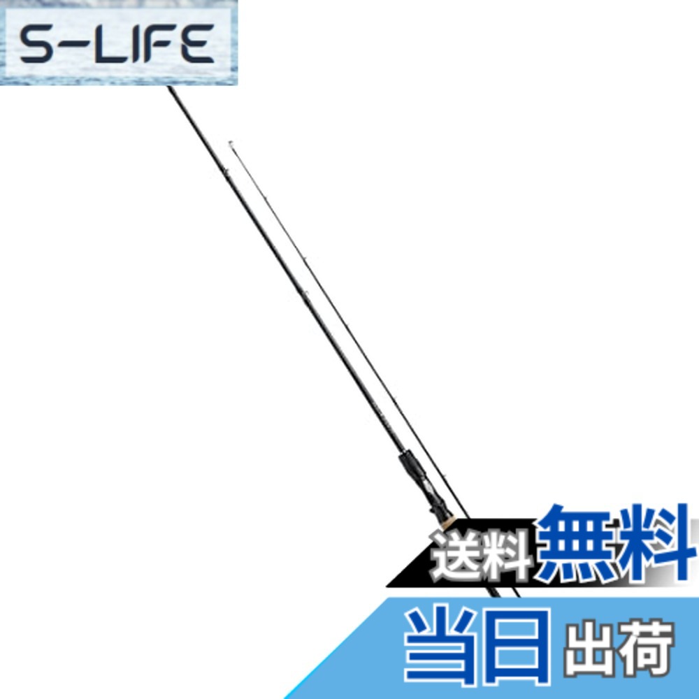 【送料無料】ダイワ(DAIWA) 21 ブレイゾン C67MH-2・FR 2ピース ベイトキャスティングモデル
