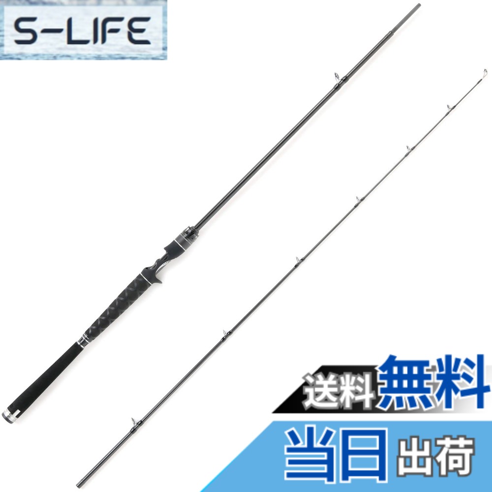 【送料無料】AbuGarcia (アブガルシア) ソルティーステージプロトタイプ ボートシーバス SaltyStageProtoType BoatSeabass XBSC-642X-BB