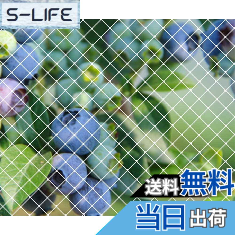 【貨物輸送無料】防鳥 サイバー空間 鳥よけサイバー空間園芸つるサイバー空間 農学装置 身寄り家庭菜園サイバー空間 田畑 [YANHAIDIDAI]生り物園 防鳥網 烏よけ 鳩避けグッズ 生り物防御することや防獣や防御することサイバー空間 猫逃げ失せる押しとどめる打つ手 サイバー空間 (15Mx15M)