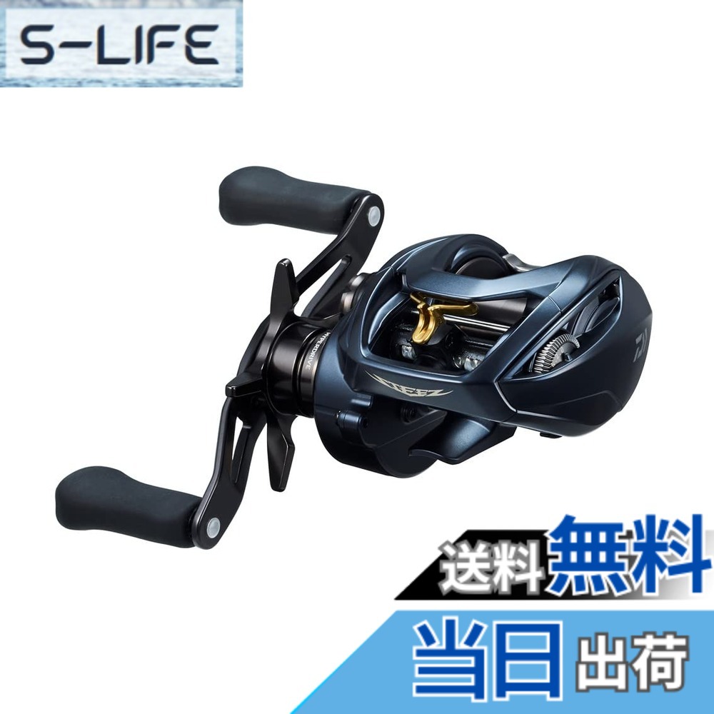 【送料無料】ダイワ(DAIWA) ベイトリール STEEZ(スティーズ) AII TW 1000XH 2022年モデル