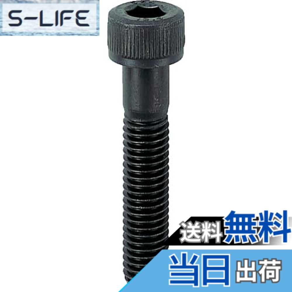 【貨物輸送無料】トラスコ中山(TRUSCO) 六角穴付雄捩子 半螺子釘 B301665 黒染め M16x65 2本入 x 10容器に並べる 【容れもの売りわたす】
