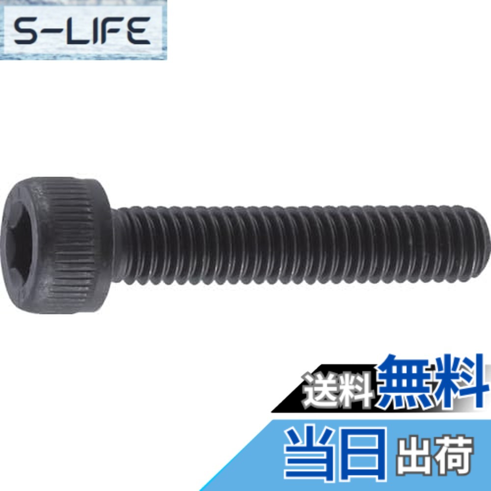 【貨物輸送無料】トラスコ中山(TRUSCO) 六角穴付雄捩子 全ねじ釘 B300810 黒染め M8x10 33本入 x 10容器に並べる 【容れもの売りわたす】
