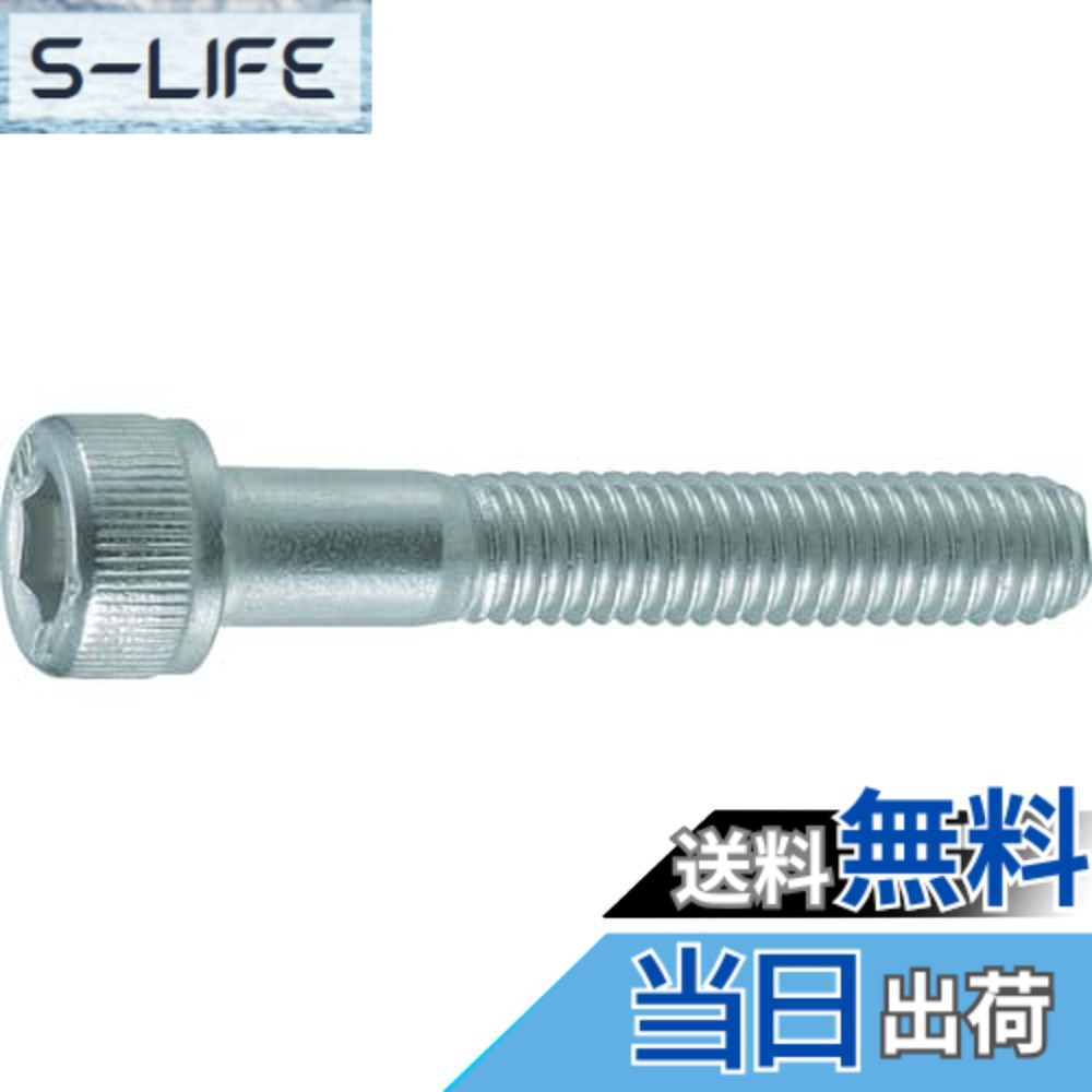 【貨物輸送無料】トラスコ中山(TRUSCO) 六角穴付雄捩子 ステンレス鋼半螺子釘 B441065 M10x65 3本入 x 10容器に並べる 【容れもの売りわたす】
