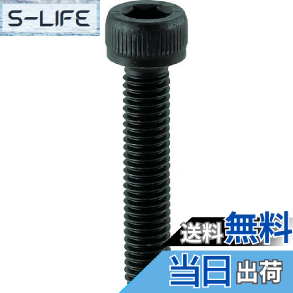 【貨物輸送無料】トラスコ中山(TRUSCO) 六角穴付雄捩子 全螺子釘 B302030 黒染め M20x30 2本入 x 10容器に並べる 【容れもの売りわたす】