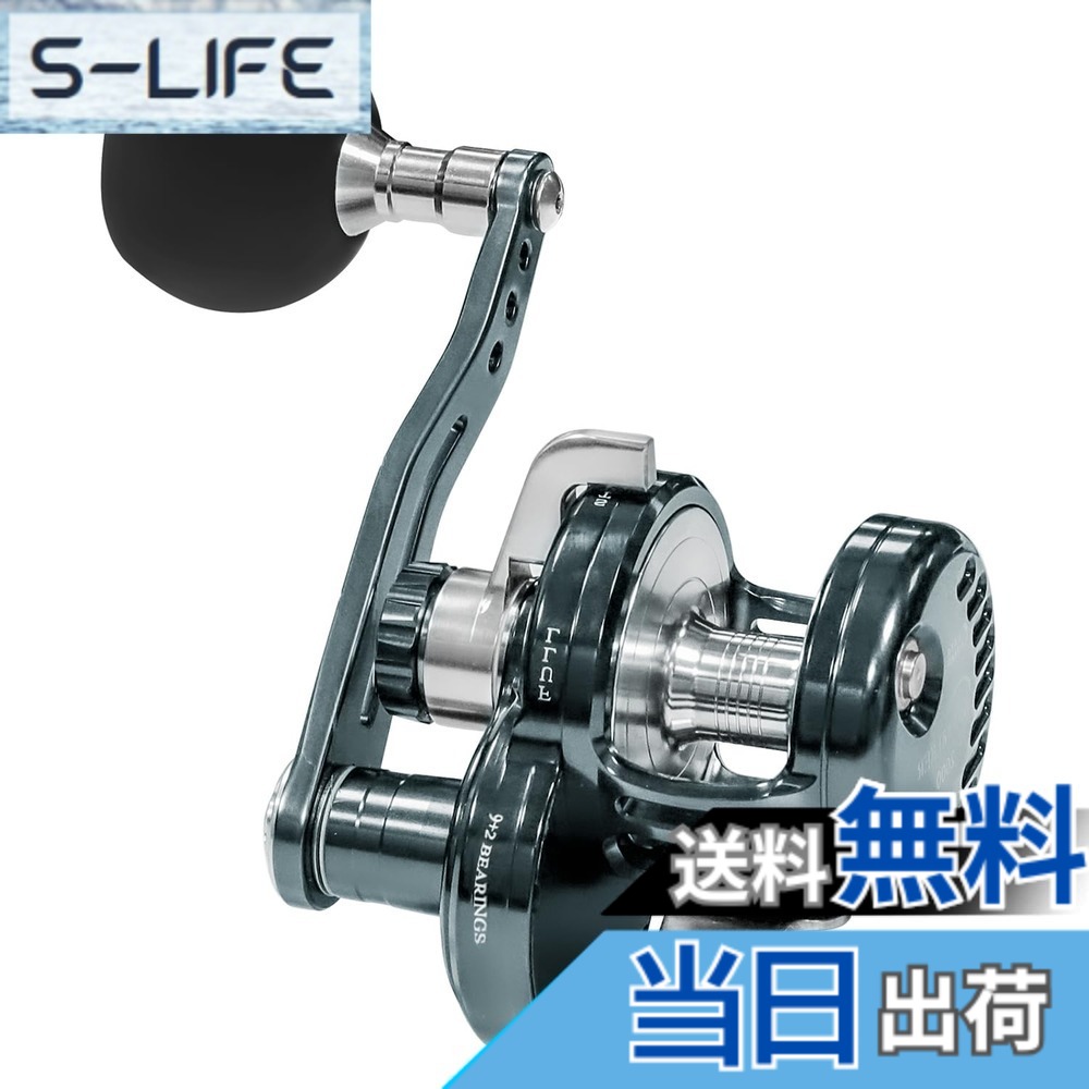 【送料無料】WATACHAMPワタチャンプ ディープウォーカー（Deepwalker） ジギング専用ベイトリール 大物用 レバードラグリール パワーハンドル 全身金属精密機械加工 ギア比5.3:1 最大ドラグ力25kg 左手ハンドル 海釣り 船釣 スロージギング