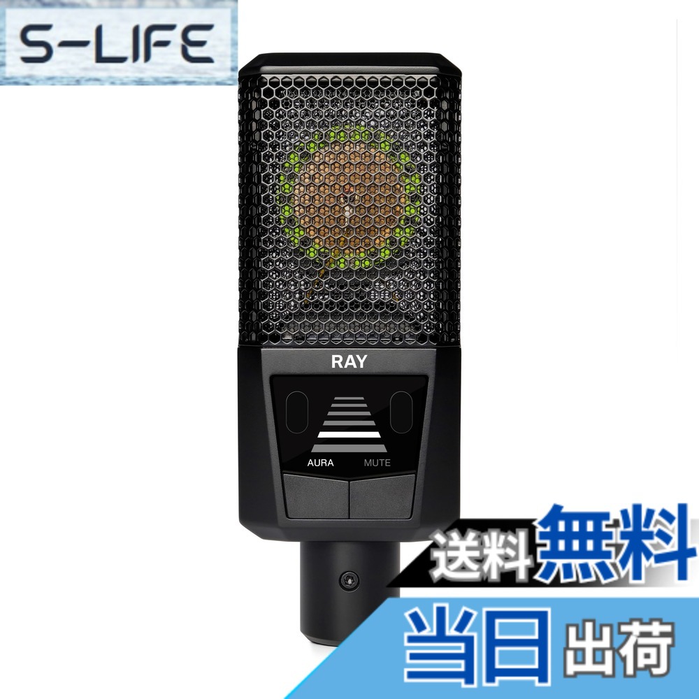 【貨物輸送無料】LEWITT LCT 440 続きもの