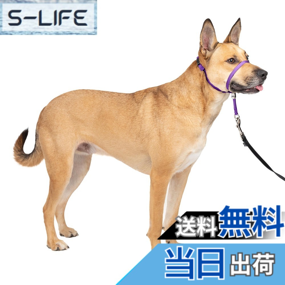 【貨物輸送無料】PetSafe（愛玩動物セーフ） ジェントルリーダー 引っ張り押しとどめる 天々色合い 犬用 ほっつき歩く形づくる 色：ディープパープル、大いさ：M大いさ (x 1)