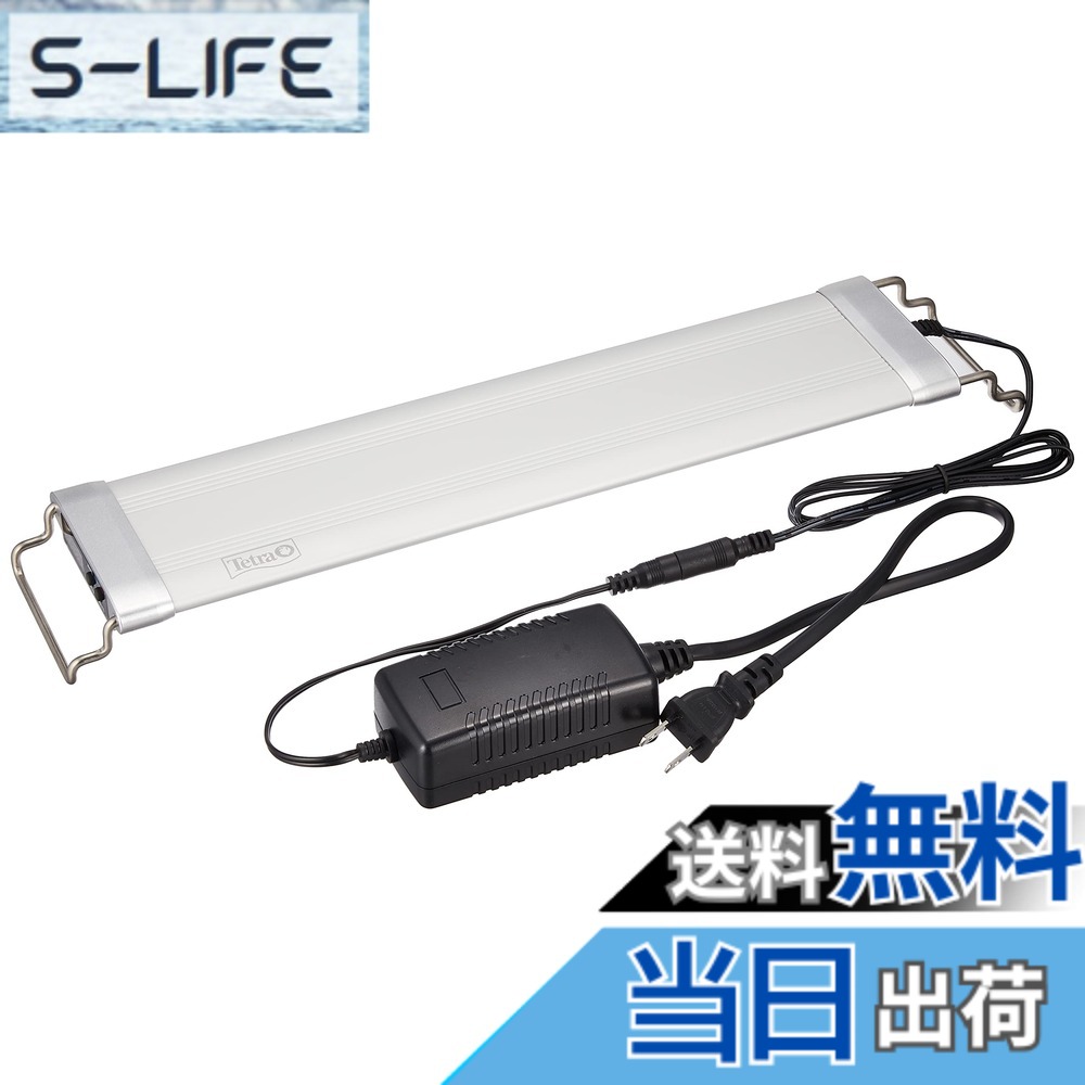 【貨物輸送無料】テトラ (Tetra) 海洋博物館 力強さLED割り増し金 大きさ：M