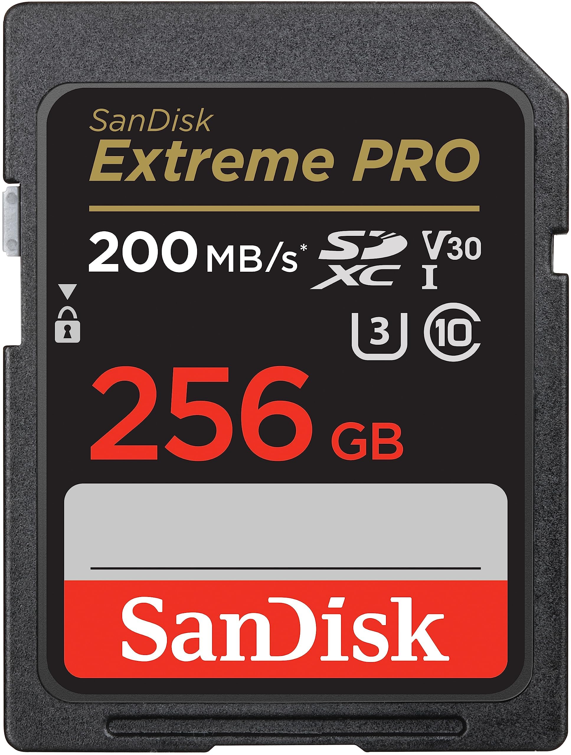【貨物輸送無料】SanDisk 色：うす暗い薄墨色/黒いこと。、大きさ：256GB