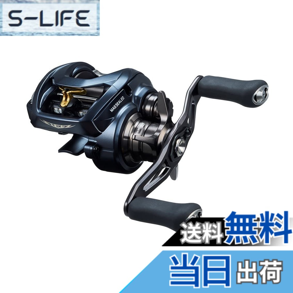 【貨物輸送無料】ダイワ(DAIWA) ベイトリール STEEZ(スティーズ) A II TW 2022年ひな形各種 1000/1000L/1000H/1000HL/1000XH/1000XH 色：黒いこと、大きさ：1000HL