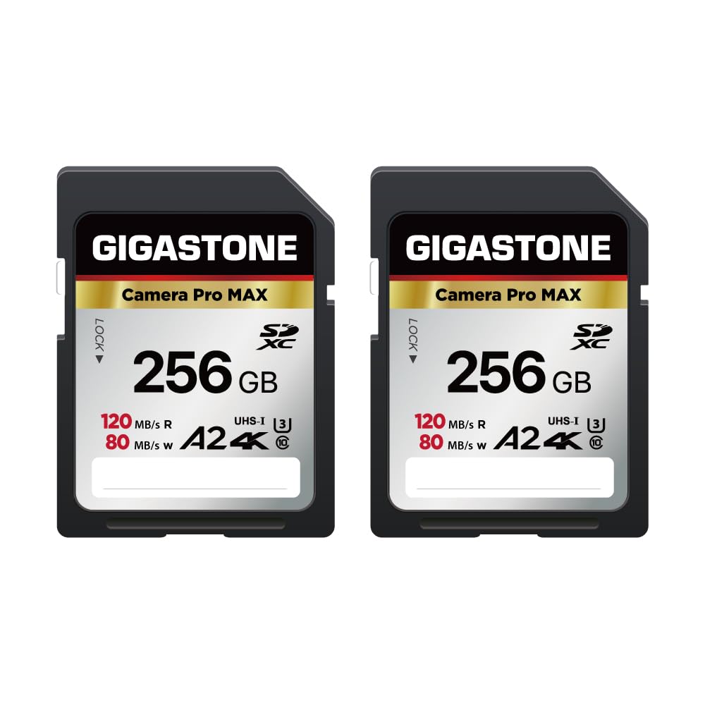 【貨物輸送無料】Camera Pro Series 3 色：256GB Camera Pro MAX 2枚仕掛ける、大きさ：SD 256GB V60 2PK
