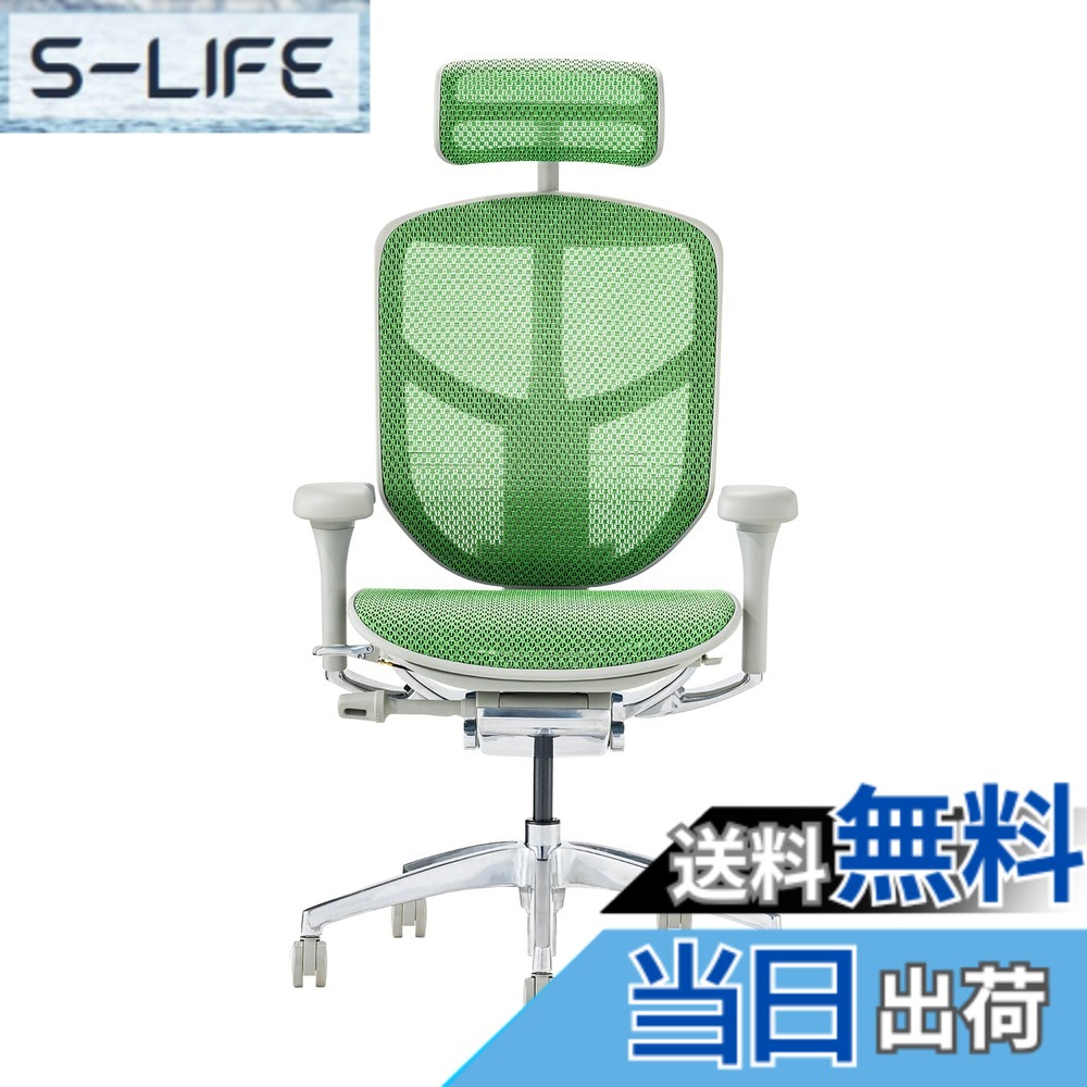 【貨物輸送無料】エルゴヒューマン2(ergohuman2) 事務室女性議長 ENJOY 楽します 色：メッシュ:緑であること / 枠組み:薄墨色、大いさ：御機嫌印字機