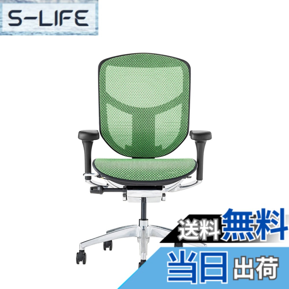 【貨物輸送無料】エルゴヒューマン2(ergohuman2) 事務室女性議長 ENJOY 喜ばせる 色：メッシュ:緑であること / ひな形:黒いこと、大きさ：置き目手合い