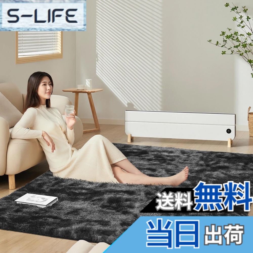 【送料無料】SOMANT カーペット ラグ 約4畳 オールシーズン 洗える 低反発 厚手 抗菌防臭加工 防音 防ダニ ラグマット シャギーラグ 滑り止め付き 暖かい ラグ マット リビング寝室用 200x300cm ブラックxグレー 色:ブラックxグレー、サイズ:200 x 300 cm (長方形)|S-LIFE