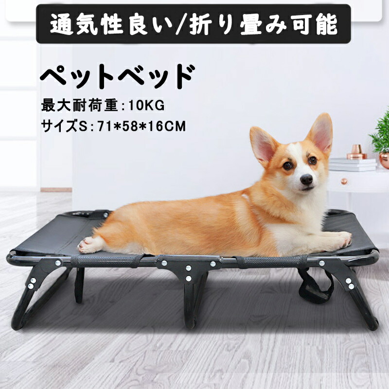 55 以上節約 楽天市場 ペットベッド 折り畳み 組み立て不要 キャンプベッド 脚付き アウトドア オールシーズン 犬 地面から離れ 春 梅雨 夏 ベッド コンパクト収納 ポータブル キャンプ 小型犬 中型犬 猫 丸洗い可能 通気性抜群 頑丈 室内室外用 S 71 58 16cm 最大耐