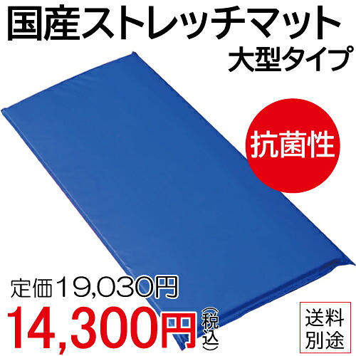 抗菌性 国産ストレッチマット／大型 トレーニングマット フロアマット [WILD FIT Premium]