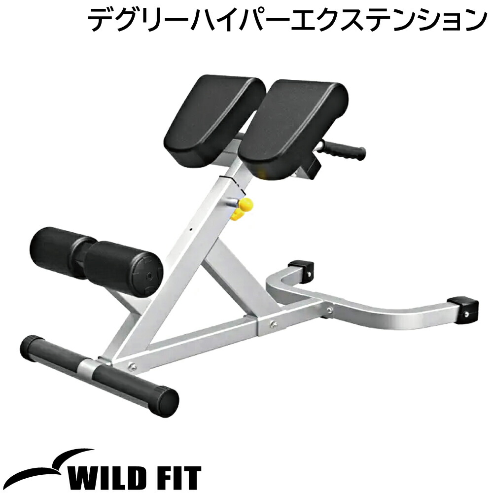 デグリーハイパーエクステンション impulse インパルス WILD FIT Premium ジム 自宅 業務用 トレーニングマシン  トレーニングベンチ 即納特典付き