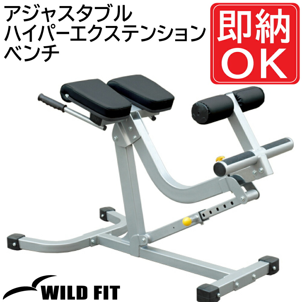 ノーチラス アジャスタブルヒップエクステンション バックエクステンション 美品 楽天市場】デグリーハイパーエクステンション 【impulse/インパルス