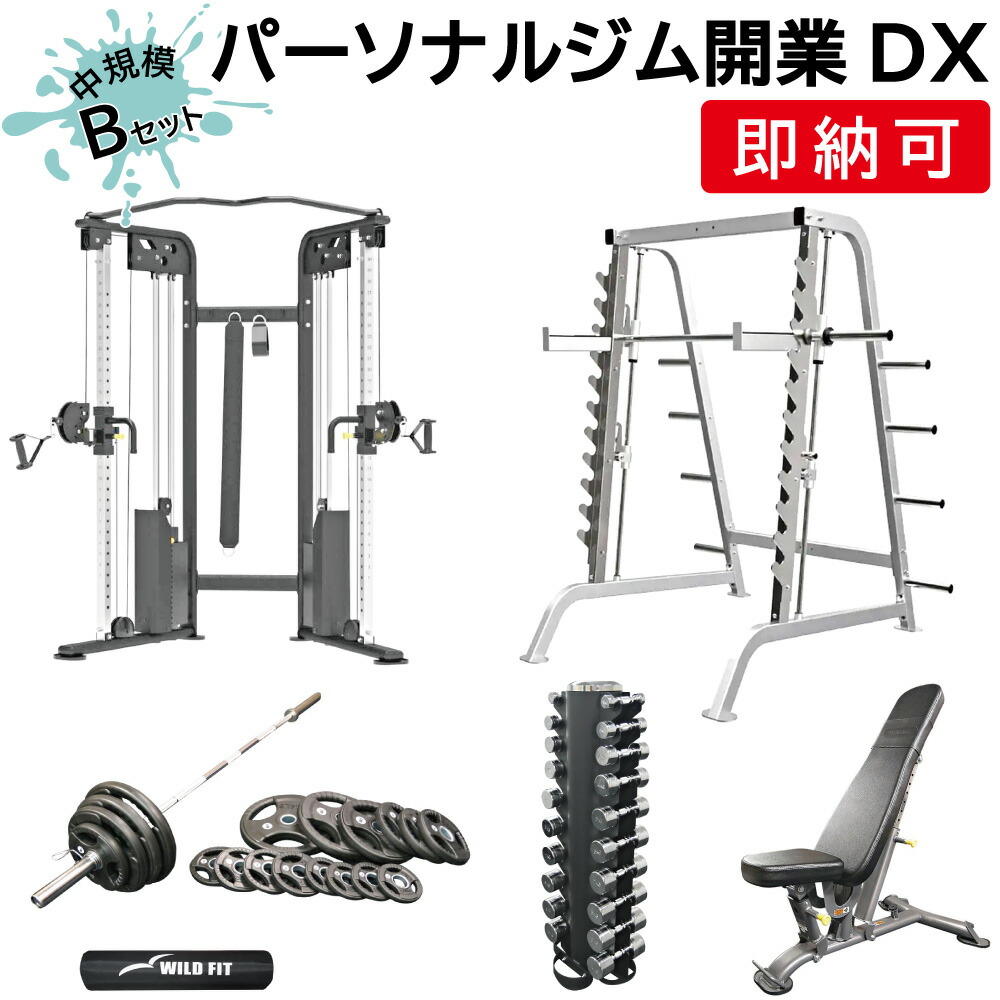 パーソナルジム開業DX Bセット 送料無料 スミス 自宅 トレーニングマシン 筋トレ フィットネス 業務用 ジム パーソナルジム スミスマシン [WILD FIT Premium]
