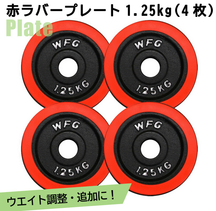 本命ギフト アイアン レギュラー プレート 20kg 2枚 《返品 交換不可》 WILD FIT ワイルドフィット  startcopywriting.com