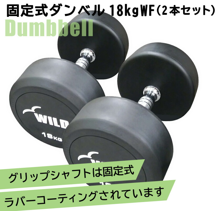 ダンベル ステンレス トレーニング WILD FIT 固定式 ダンベル 14kg WF / ラバー ジムダンベル 筋