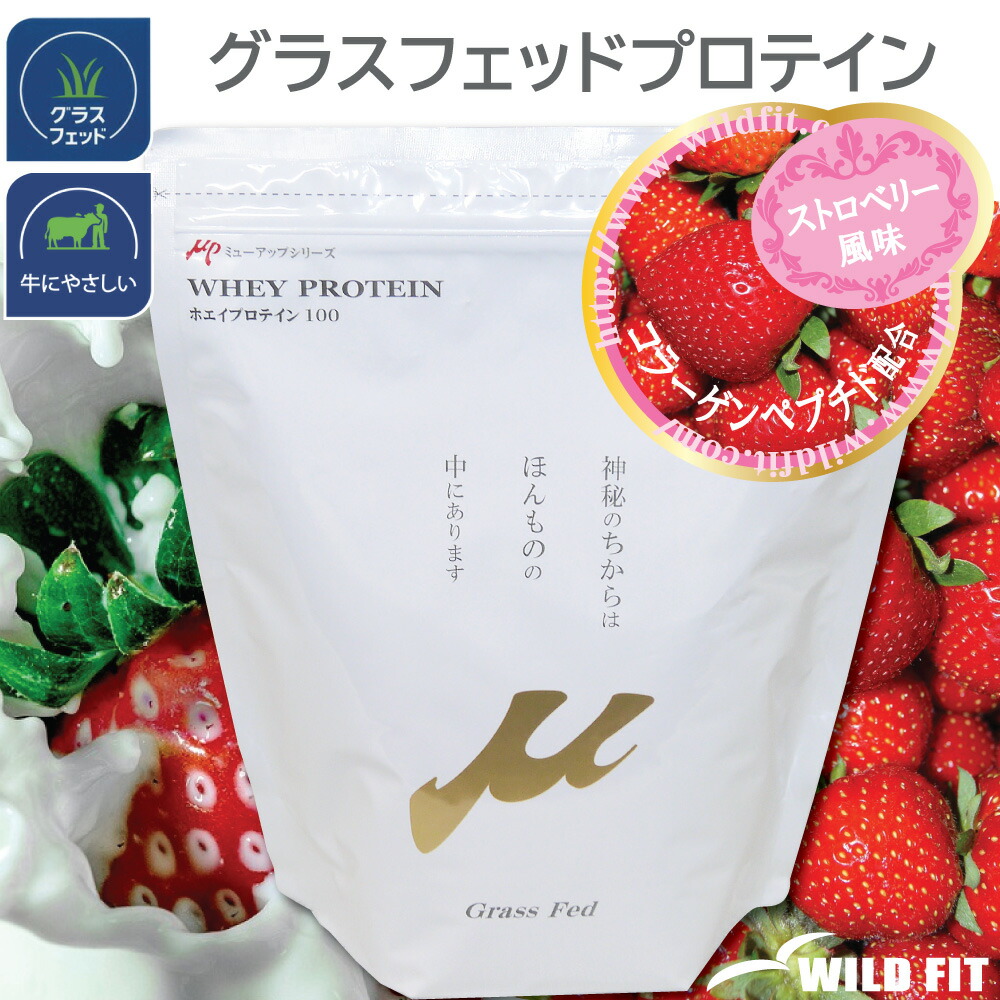 MPXホエイプロテイン 5kg マイプロテック プロテイン いちご味T 送料無料 Amazon | MPX ホエイプロテイン・マイプロテック プロテイン・W