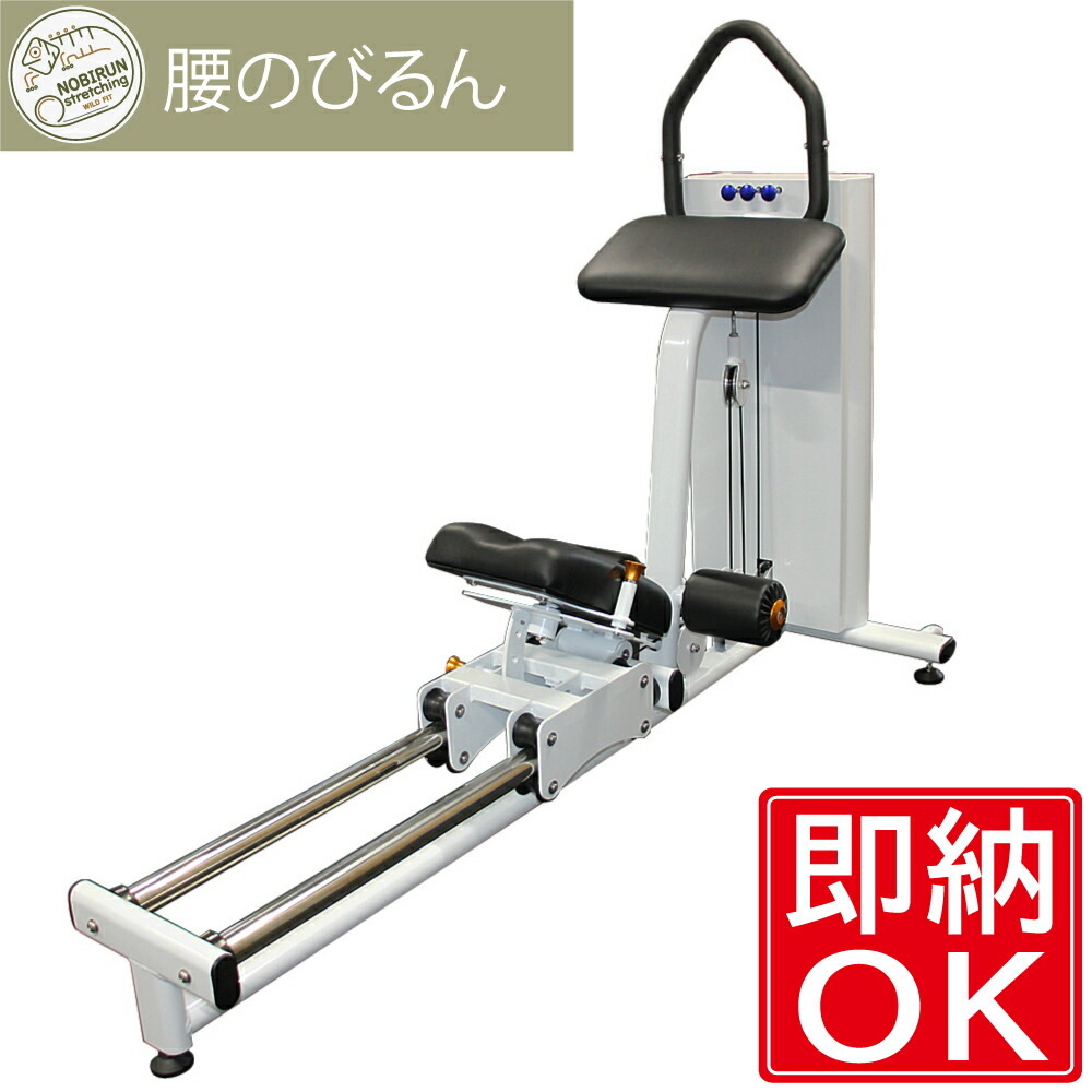 楽天市場】【おまかせパック】 腰のびるん (コアレス) [黒]送料無料