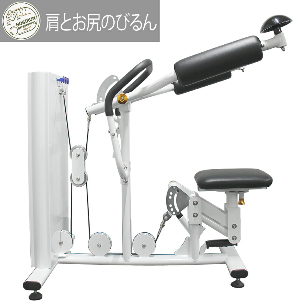 送料無料　足腰スッキリ　ストレッチングベンチ　ストレッチベンチ dショッピング |【T】中川式 ストレッチングベンチ COMP(前屈