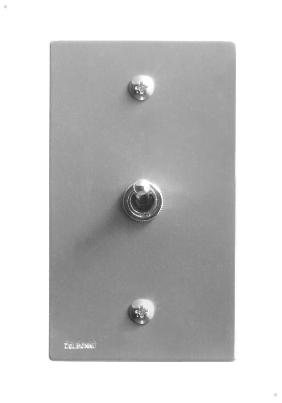 楽天市場】ZOLBONNE（ゾルボンヌ） トグルスイッチプレート 【グッド