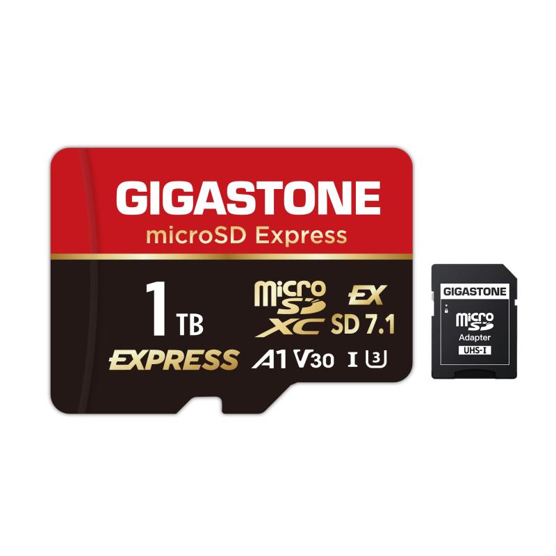 GIGASTONE マイクロsd歌留多 1肺結核-14-1 Core Group