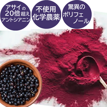 楽天市場】プレミアム マキベリーパウダー 180g 化学合成農薬