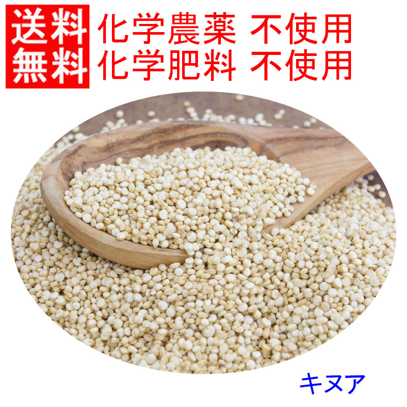 ●化学合成農薬不使用栽培　キヌア　2.5kg　USDA認定品　業務用卸価格！ チャック付袋を使用しています。　 TV番組などの放送後,ご注文の殺到により原料確保ができない場合はキャンセルとさせて頂きます。