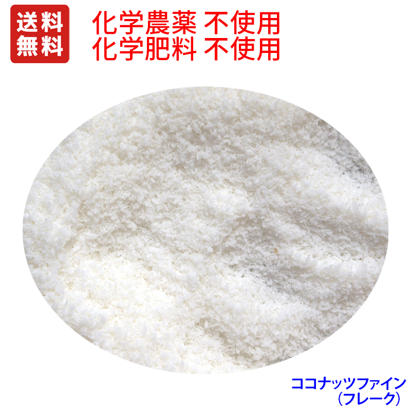 ★安心認証品原料100％使用　ココナッツフレーク(ファイン)　1kg&times;12　お取り寄よせのため、商品発送まで4-5日かかります｜無農薬栽培食品　スローフーズ 21,870円