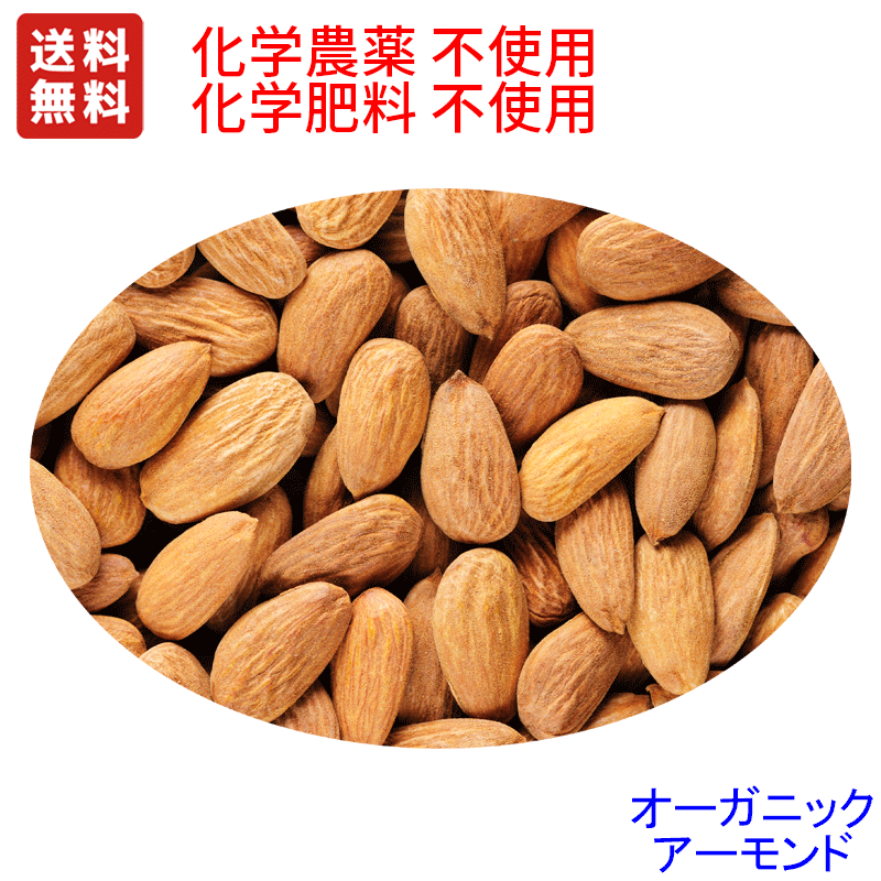 ●送料無料　オーガニック　アーモンド ホール 12.5kg ノンパレル種 オーストラリア産　（水分無調整・無塩）　業務用バルク12.5kg　　<BR>非燻蒸　(化学農薬・化学肥料）不使用栽培 ☆無添加無漂白　<BR>