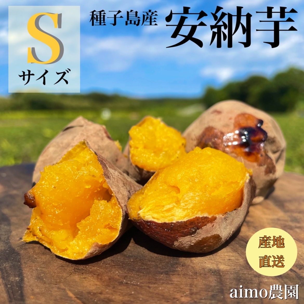 楽天市場】【絶品】種子島産 安納芋 B品（S〜Mサイズ）｜aimo農園